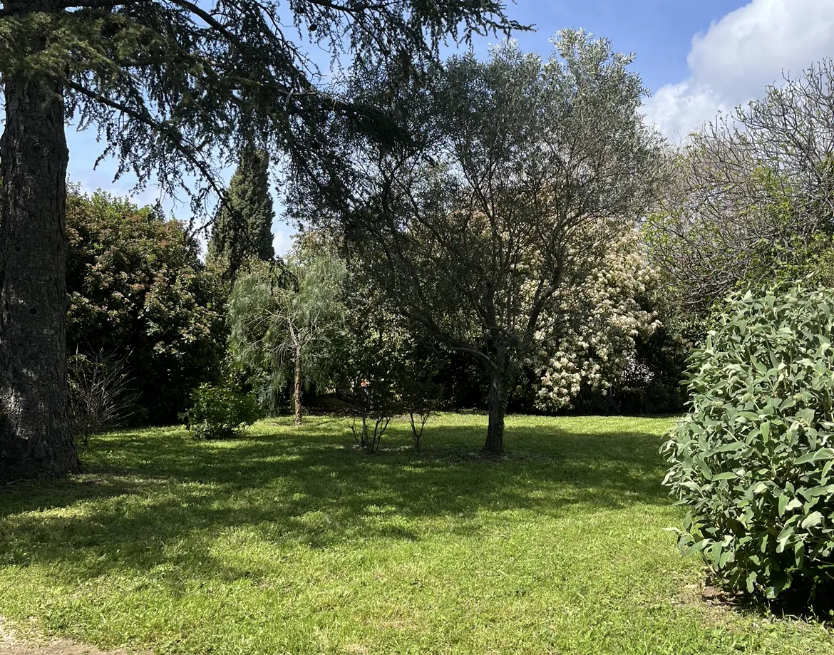 Pelouse tondue et massifs entretenus sous de grands arbres dans l'Hérault