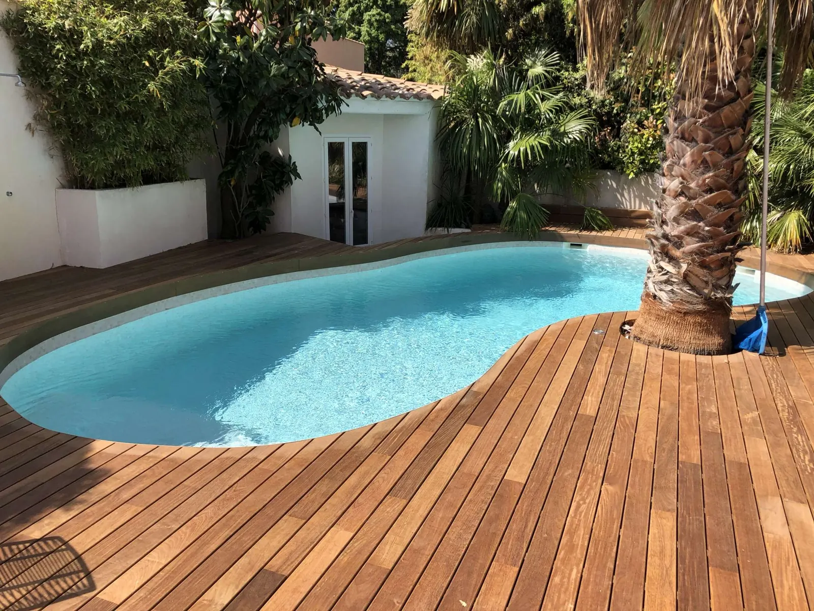 Terrasse en bois exotique autour d'une piscine, intégrée à un palmier existant