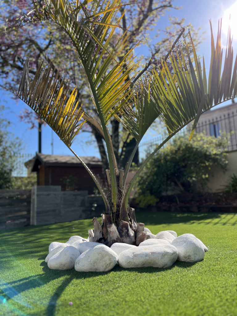 Plantation d'arbres par Rev Paysage à Vendargues